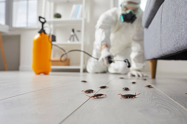 Trusted Fumigation Services service in Malden, MA - Nex Pest Control